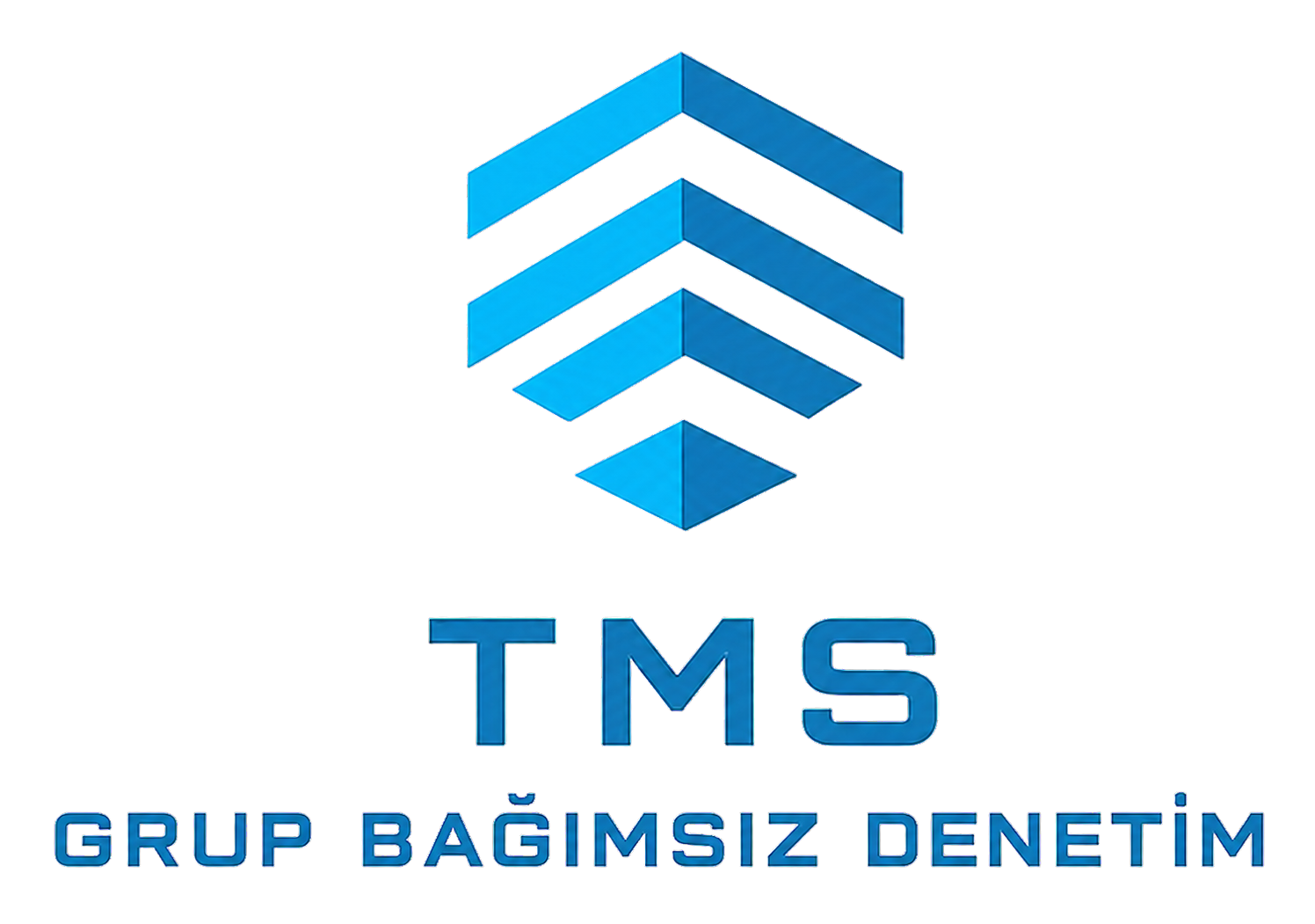 TMS Grup Bağımsız Denetim